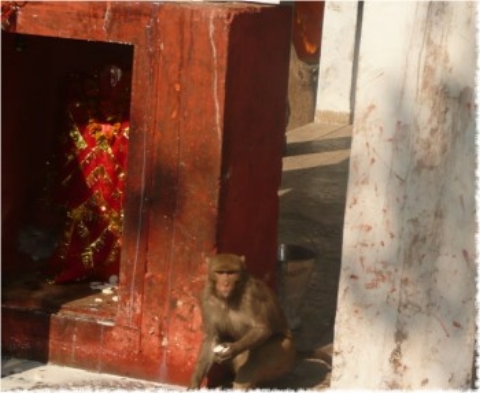 Images/delhi 049.jpg